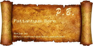 Pattantyus Bere névjegykártya